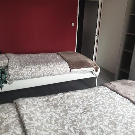Mulhouse,Grand Appart Cosy&Lumineux, 78M2 , Pour 5 Personnes Eksteriør bilde