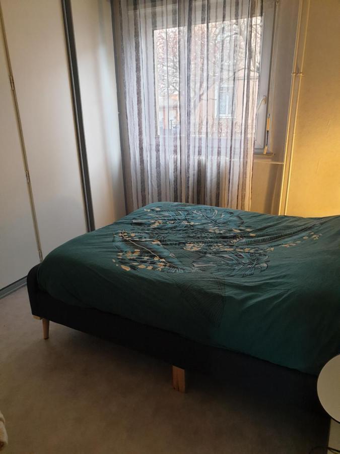 Mulhouse,Grand Appart Cosy&Lumineux, 78M2 , Pour 5 Personnes Eksteriør bilde