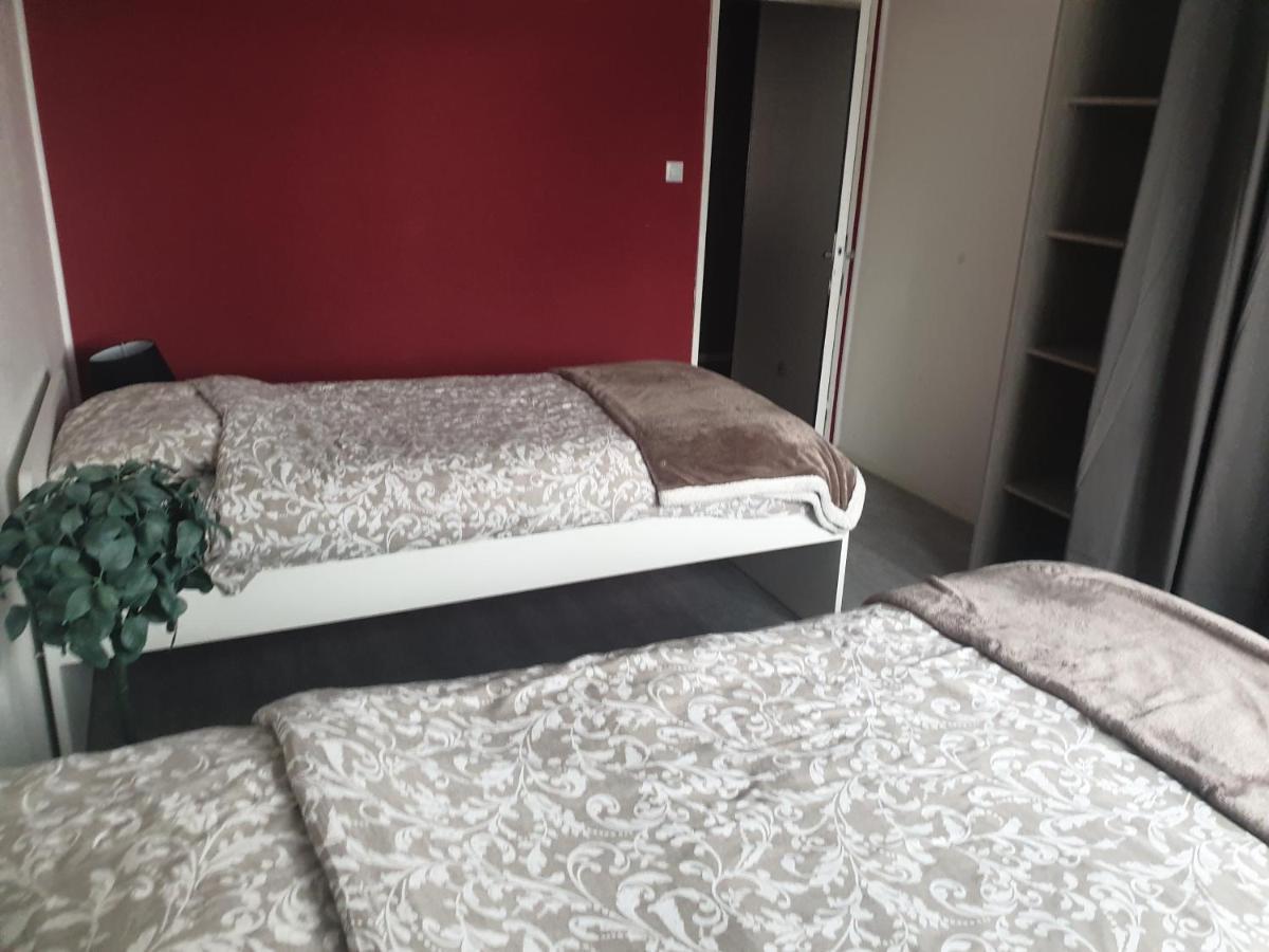 Mulhouse,Grand Appart Cosy&Lumineux, 78M2 , Pour 5 Personnes Eksteriør bilde